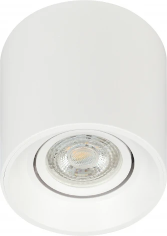 Точечный светильник ЭРА OL25-1 WH (12V)