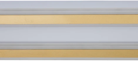 Настенно-потолочный светильник Indigo Arena V000055L (регулировка яркости, LED, 220V, пульт управления)