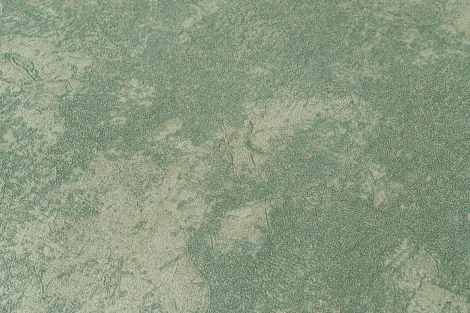 Обои виниловые Артекс Nature 10375-06 10,05 x 1,06 м