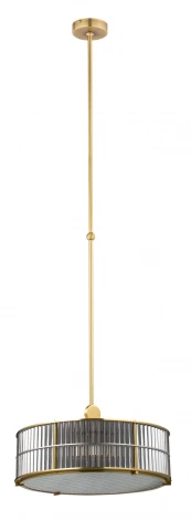 Потолочная люстра на штанге Lavone LAV-ZW-6(P)440-2/R (220V, круглые)