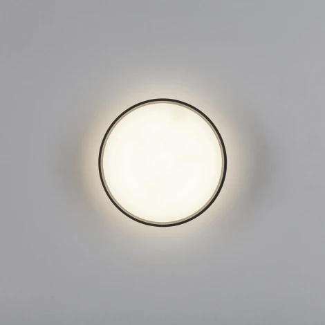 Накладной потолочный светильник Lightstar Acuto 215947 (LED, 220V, круглые)