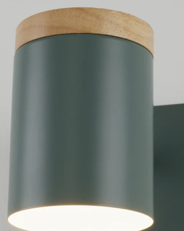 Спот с выключателем Moderli Asheswood V11294-1W (220V)