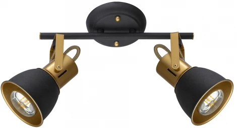 Спот на штанге Arte Lamp Jovi A1677PL-2GO (220V)