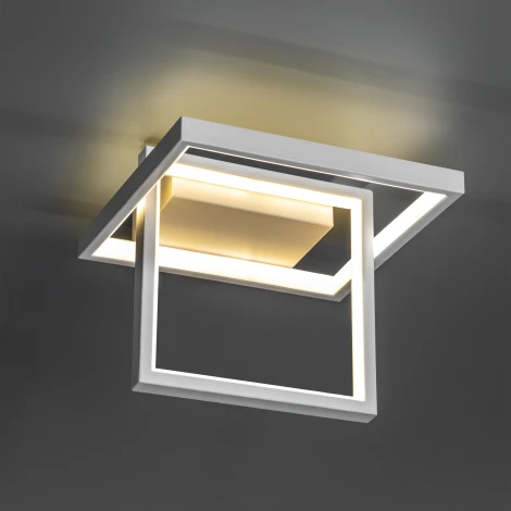 Потолочная люстра светодиодная Ritter Falena 51621 1