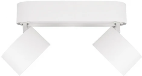 Спот Loft It Focus 10323/2A White (LED, 220V)