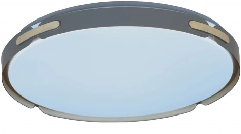 Потолочный светильник Lumina Deco Paneli LDC 8063-48W BL