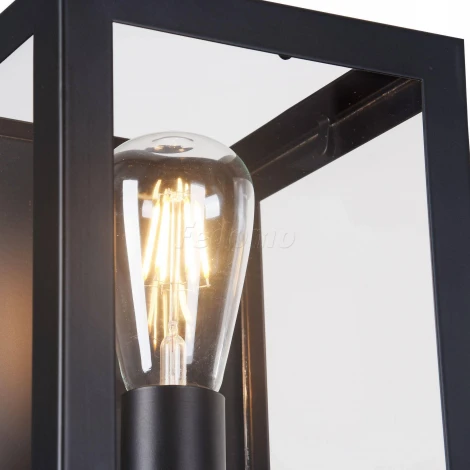 Бра Maytoni Delphi T354-WL-01-B