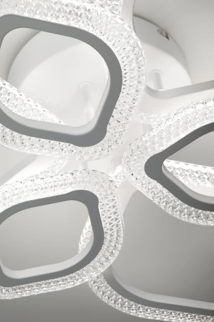 Потолочная люстра на штанге светодиодная с пультом Rivoli Megan 6110-107 (регулировка яркости, 220V)