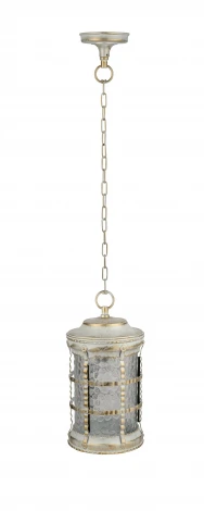 Уличный светильник подвесной Oasis Light BARSELONA 81205 Gw (220V, на цепи, IP44)