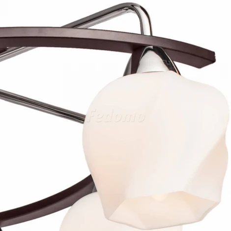 Потолочная люстра Silver Light Aranda 228.59.6