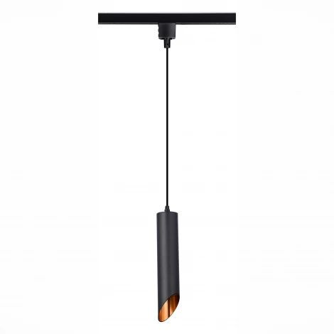 Трековый светильник однофазный ST Luce ST152.406.01 (220V, круглые)