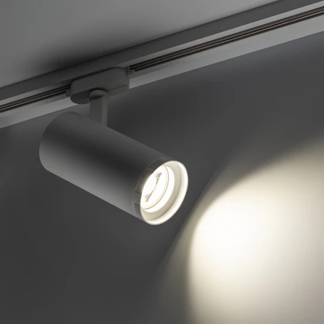 Трековый светильник однофазный 220V Ritter Artline 59739 5