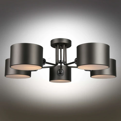 Потолочная люстра Omnilux Liser OML-54507-05 (220V)