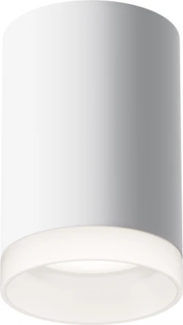 Накладной потолочный светильник Pauline GU10 1x10Вт Maytoni Technical C008CW-01W (220V)