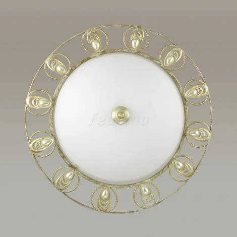 Настенно-потолочный светильник Odeon Light Kanti 3483/3C