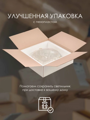 Настенно-потолочный светильник Мелодия Света CW1N Snow White R1004-2W-300 WT 000059669