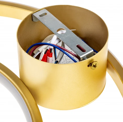 Потолочная люстра светодиодная с ДУ Ritter Snello 51625 9