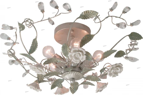 Snowlight 2600934/5C