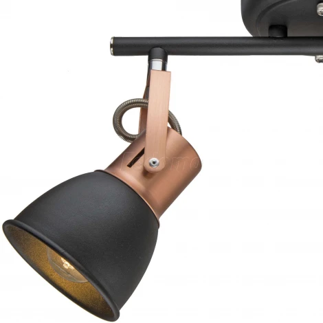 Спот Arte Lamp Jovi A1677PL-2BK