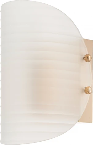 Бра Rivoli Mariana 3178-210 (220V)