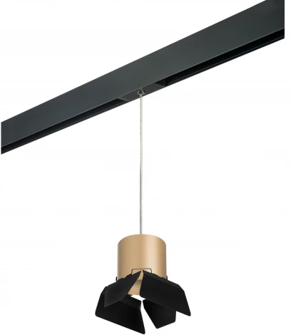 Трековый светильник однофазный 220V Lightstar Rullo PRORP3490487