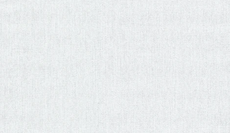 Обои виниловые Marburg Project 31806 10,05 x 0,53 м