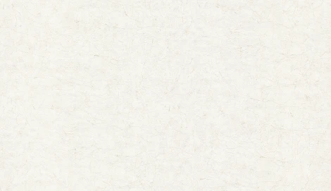 Обои виниловые Marburg Vintage Deluxe 32851 10,05 x 1,06 м