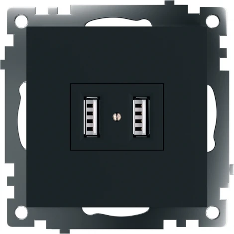 Розетка с USBх2 (черный) Stekker Катрин 39616