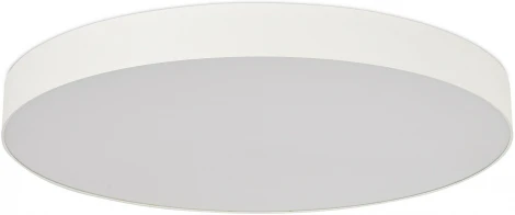 Потолочный светильник круглый светодиодный ST Luce ST601.542.18 Белый LED 1*18W (220V, круглые)