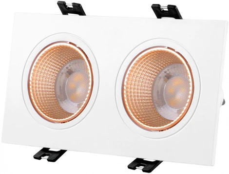 Встраиваемый точечный светильник Denkirs DK3072-WBR (220V)