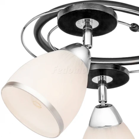 Потолочная люстра Silver Light Austerity 245.59.5