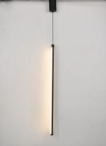 Подвесная люстра светодиодная Rivoli Cecilia 6185-702 (220V, на проводе, круглые)