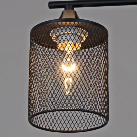 Потолочная люстра на штанге Reluce 91360-0.3-05 BK+FG