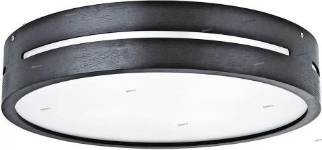 Потолочный светильник ST Luce SL675 SL675.402.05