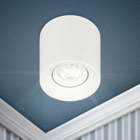 Точечный светильник ЭРА OL25-1 WH (12V)