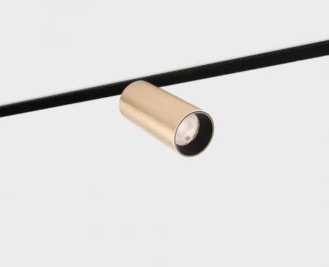 Трековый светильник магнитный 12W 48V Italline IT012-5026 gold 3000K (LED, круглые)