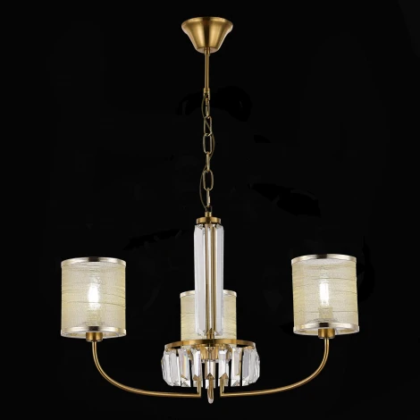 Подвесная люстра Evoluce Ellisse SLE1119-303-03 (220V, на цепи)