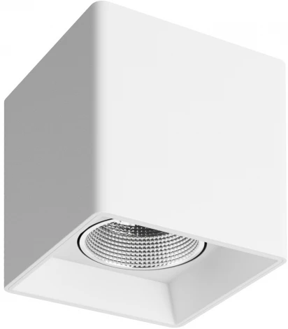 Накладной точечный светильник Denkirs DK3030 DK3080-WH+CH