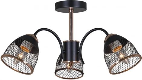 Потолочная люстра на штанге Reluce 01505-0.3-03 BK+FGD (220V)