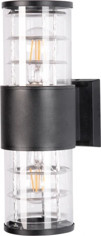 Настенный уличный светильник Arte Lamp A5315AL-2BK (220V, круглые, IP54)