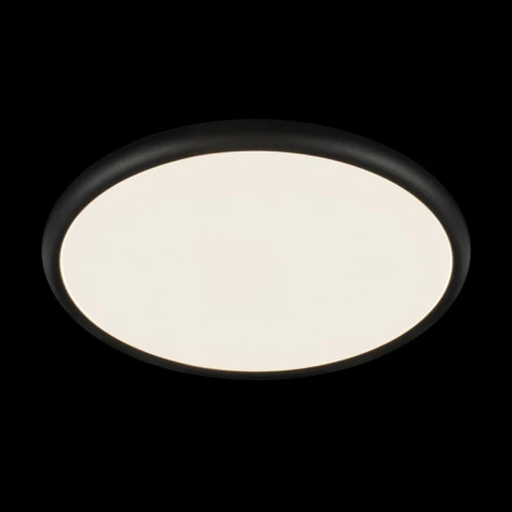 Потолочный светильник светодиодный Loft It Sweety 10454/500 Black