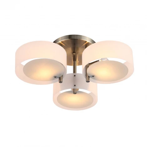 Потолочная люстра ST Luce Foresta SL483.352.03