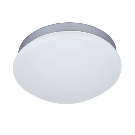 Потолочный светильник F-Promo Ledante 2467-1C