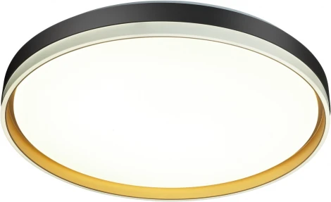 Настенно-потолочный светильник Savi 7619/DL (регулировка яркости, LED, 220V, пульт управления, круглые, IP43)