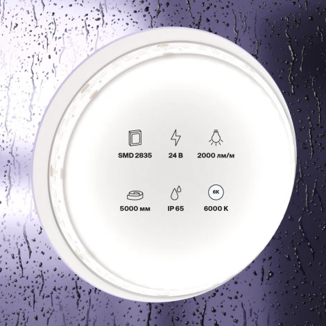 Светодиодная лента Maytoni Led strip 10159