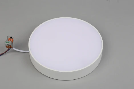 Потолочный светильник круглый Aployt Evon APL.0114.09.24 (LED, 220V, круглые)