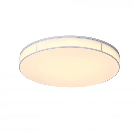 Потолочный светильник ST Luce Fella SL417.512.01