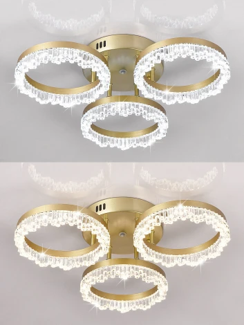 Потолочная люстра светодиодная Natali Kovaltseva Day LED LAMPS 81484 (регулировка яркости, 220V, пульт управления, кольцо)