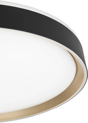 Потолочный светильник RGB круглый светодиодный с пультом Citilux Boss CL751451G (220V, круглые)