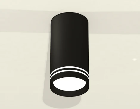 Накладной точечный светильник Ambrella Techno Spot XS8162007 (220V, круглые)